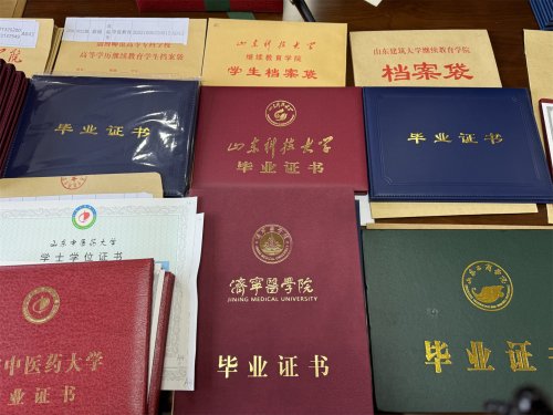 真题|2024年成人高考语文真题带答案解析（选择题）​